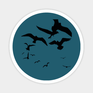 Seagull Bird Flock Scavenging Black Silhouette Magnet